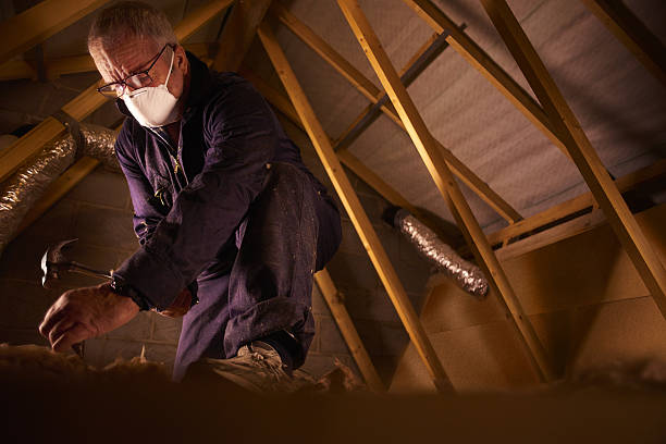 Best Insulation Maintenance and Repair in Cataula, GA